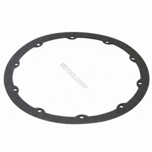PENTAIR AMP-301-0019 / 630025 QUICKNICHE GASKET