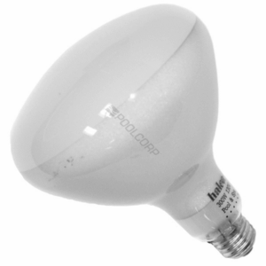 HALCO SPG-301-7677 / R40FL300/12V 300W 12V R40 MEDIUM BASE FLOOD BULB